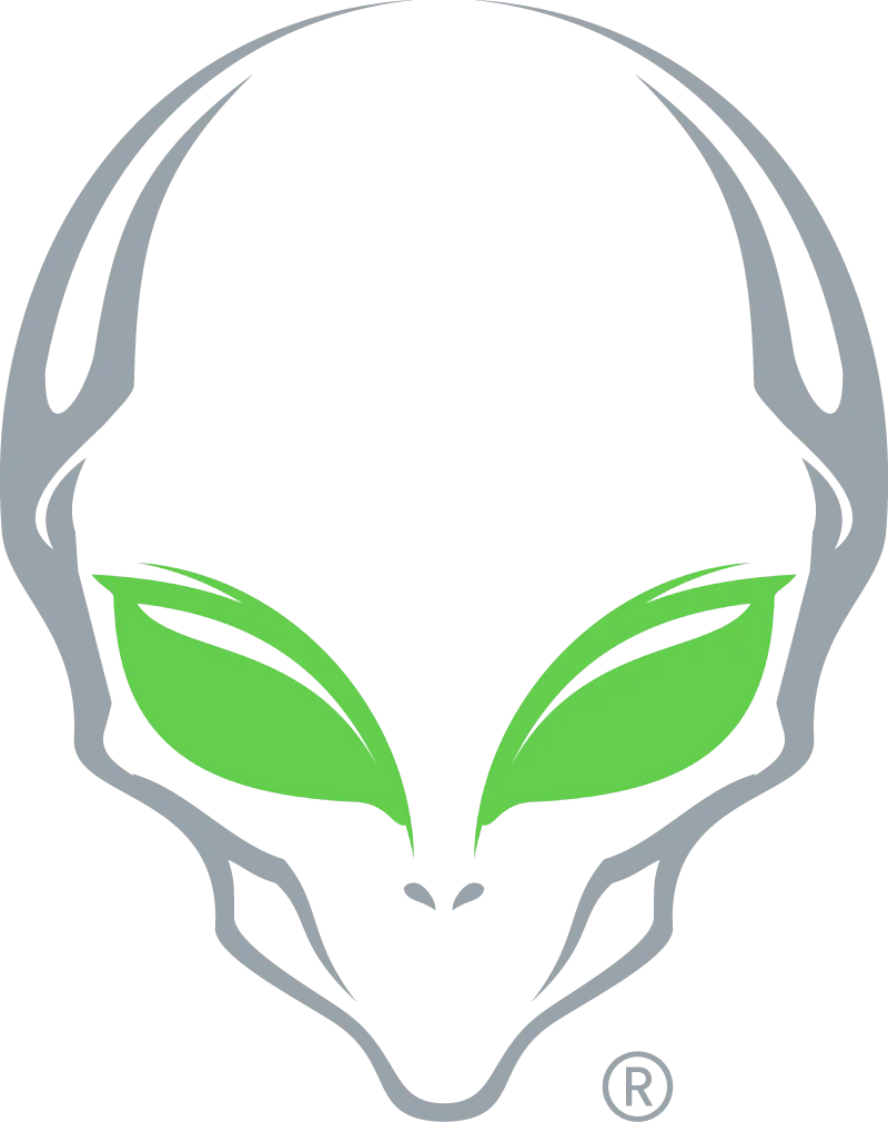 Alien Gear Holsters